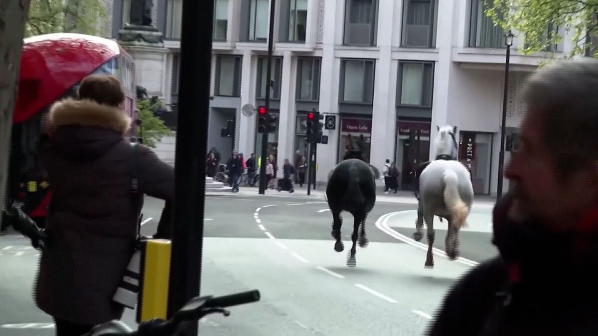 ロンドンの通りを走る馬/Jordan Pettitt/PA