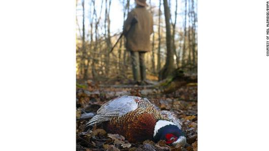 ８．「ドキュメンタリー連作」部門　「単なる獲物、単なるゲーム」　Neil Aldridge/BWPA