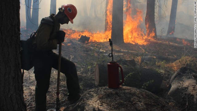 米ヨセミテ公園付近の山火事は州史上４番目の規模にまで広がった