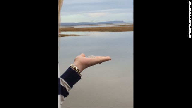 どこかの海岸でまかれた遺灰の写真