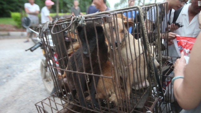 かごの中の犬を肉屋に運ぶ準備が整った