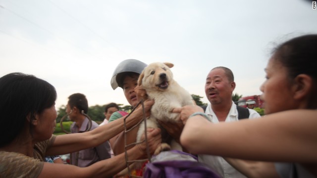 子犬を業者から奪おうとする活動家。所持金全てを使って７０匹の犬を買ったが、この子犬は手に入らなかった