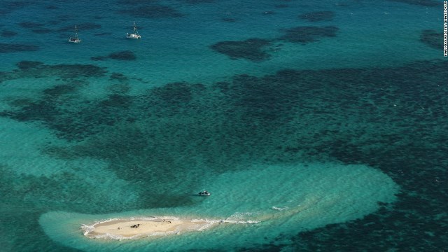 海水温の上昇が白化現象に結びついているという