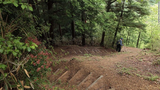 ハイキングコースは比較的歩きやすい