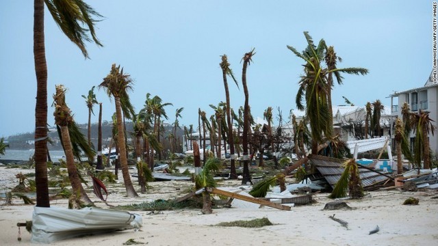 海岸のヤシの木も折れて散乱＝６日、セント・マーチン島マリゴット