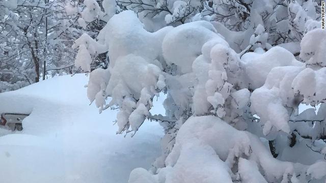 ペンシルベニア州エリーでは１日の降雪量が過去最高を記録した