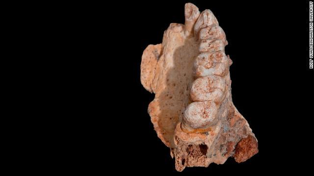 イスラエルの洞窟で 現生人類のものとみられる顎 あご の骨の