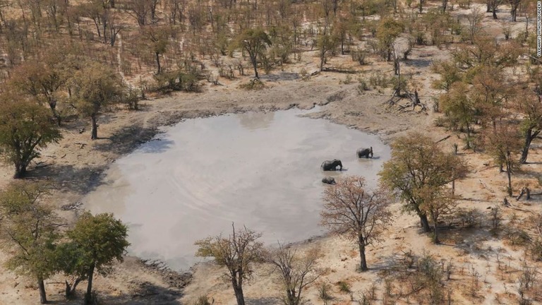 アフリカ南部にも密猟が拡大している/Elephants Without Borders