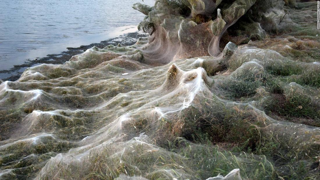 Остров айтолико с пауками фотографии