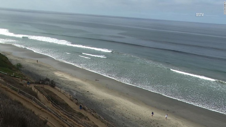 カリフォルニア州で少年がサメに襲われ負傷した/KUSI/ONSCENE.TV 