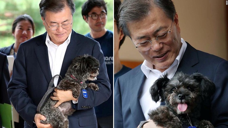 公約通り黒い雑種犬「トリ」の里親となった韓国の文在寅（ムンジェイン）大統領/CARE