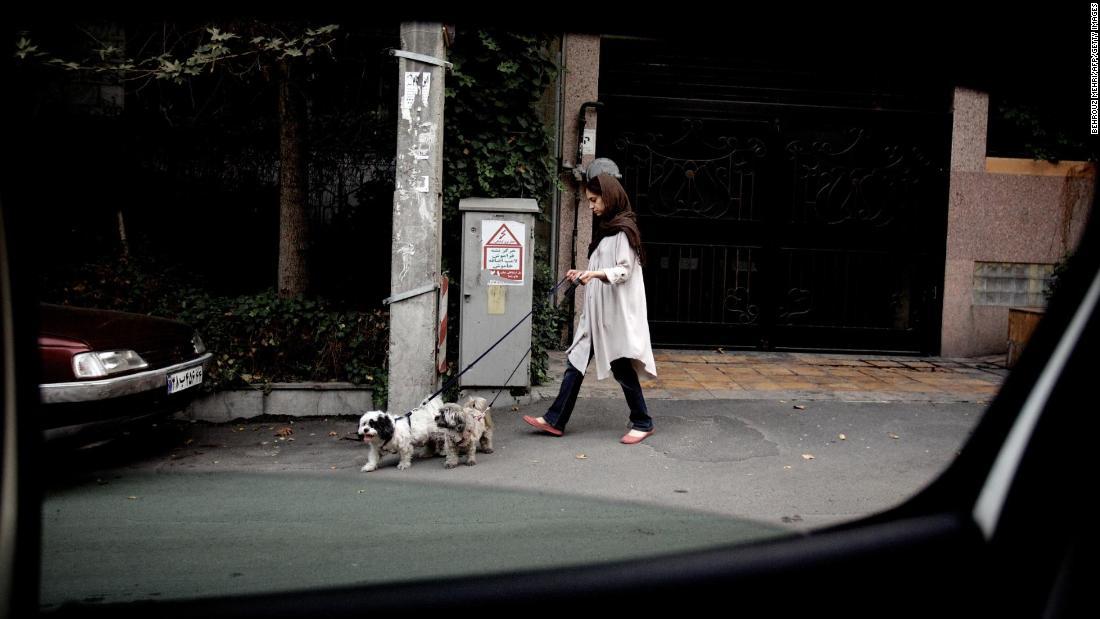 Cnn Co Jp 公の場で犬の散歩禁止 車の同乗も イラン首都