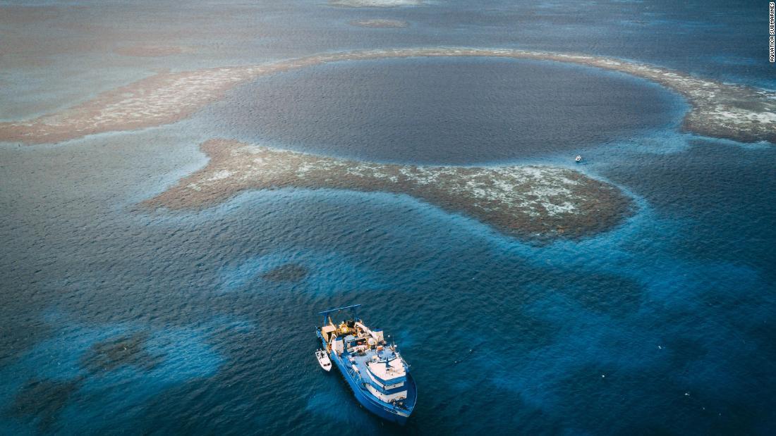 Cnn Co Jp カリブ海の グレートブルーホール 調査隊が底の様子を報告