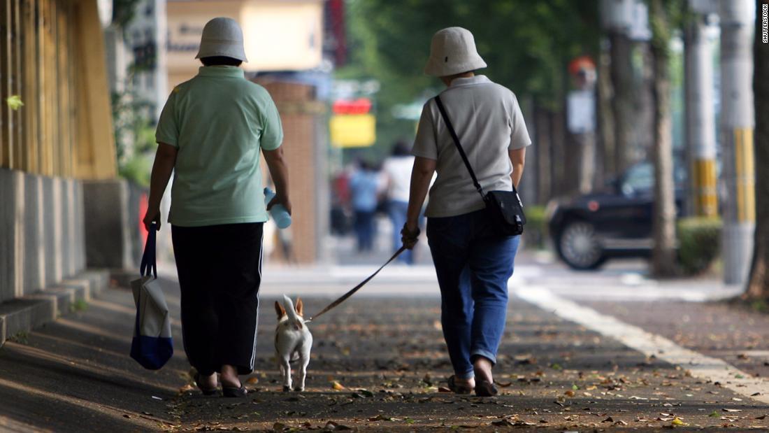 Cnn Co Jp 高齢者 犬の散歩で骨折リスク 米で救急外来受診増える