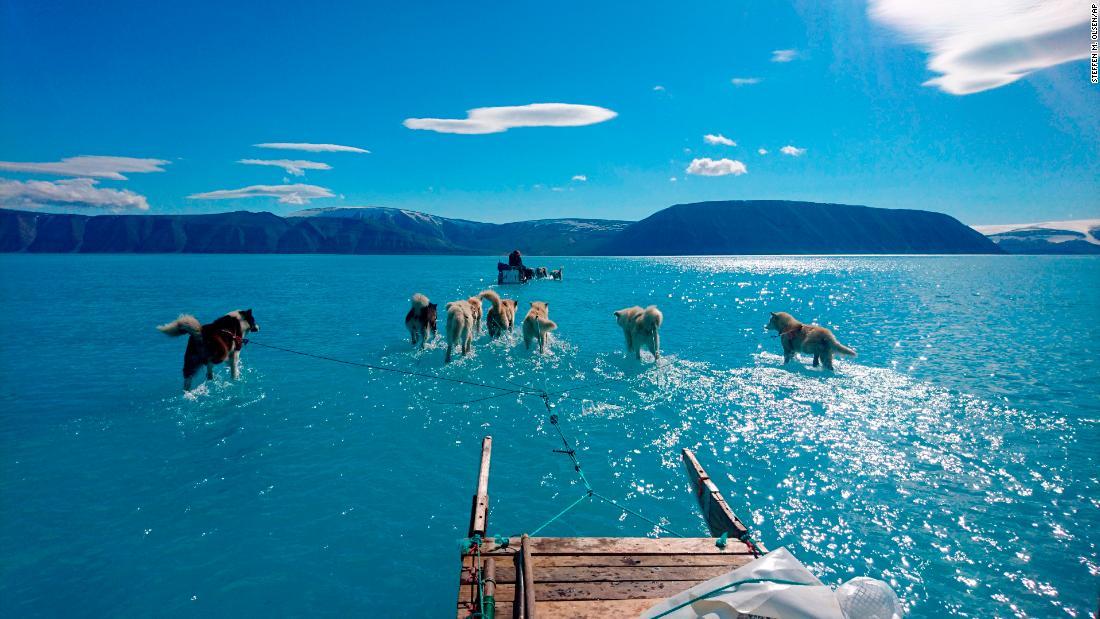 Cnn Co Jp そり犬の足元は一面の水 グリーンランドの光景が波紋を呼ぶ