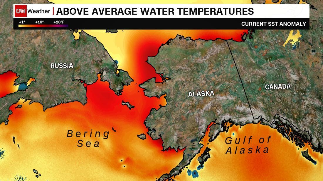 Cnn Co Jp アラスカを覆う異常気象 アンカレジで３１度を記録