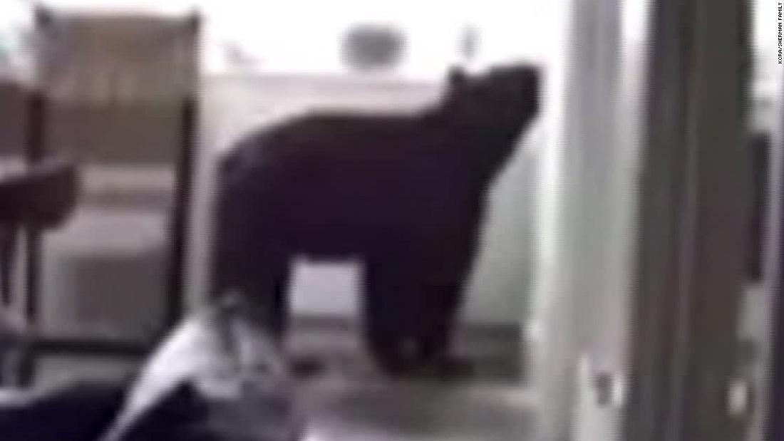 Cnn Co Jp クマが民家に侵入 冷蔵庫荒らす 隣室には子ども２人 米カリフォルニア州 1 2