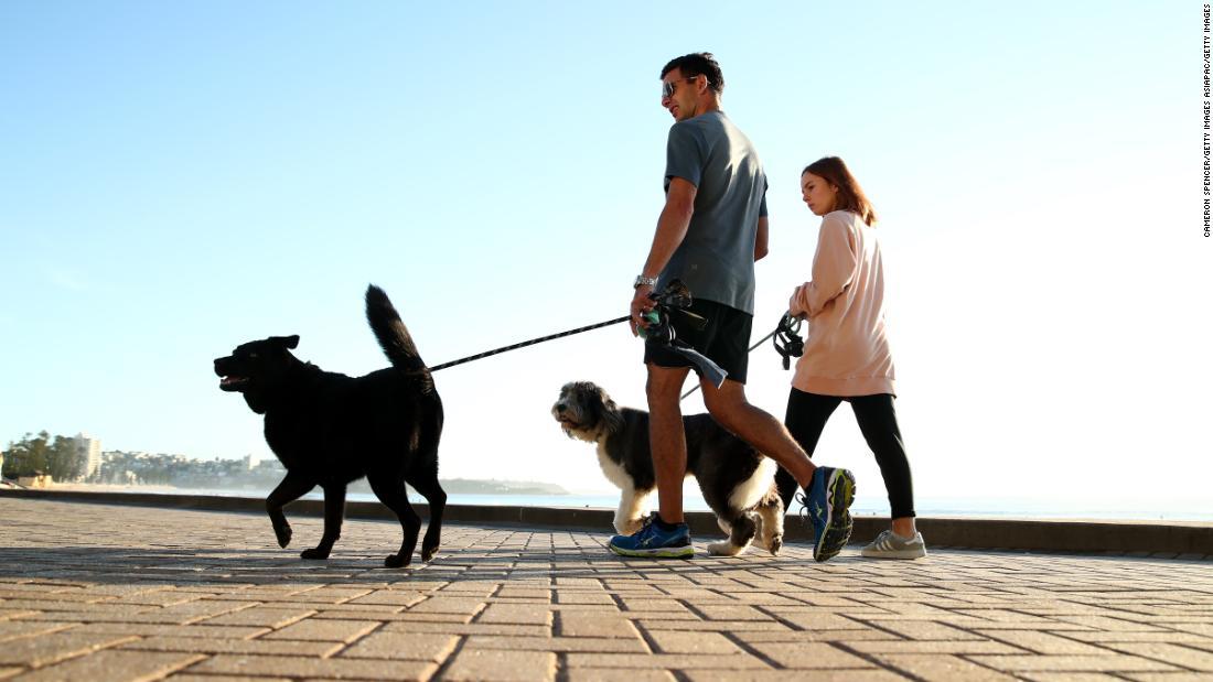 Cnn Co Jp ペット犬の１日１回の散歩義務付け 違反は罰金 豪州