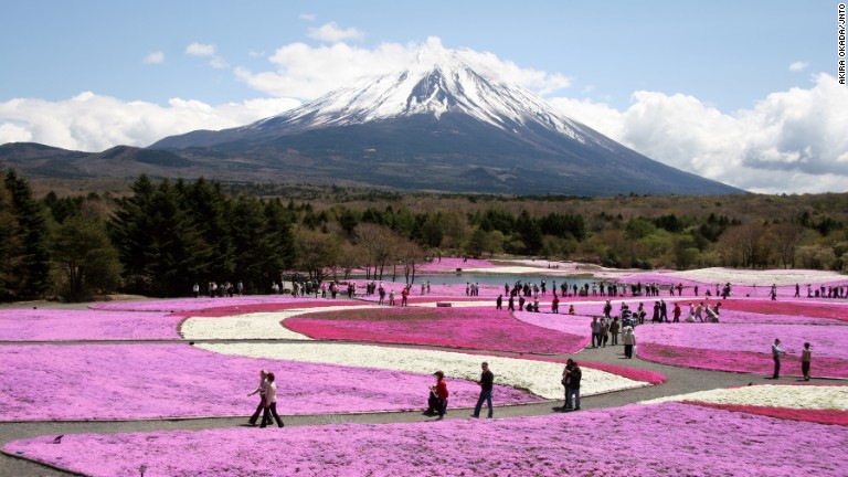 山梨県の富士芝桜展望広場で開かれる富士芝桜まつり/Akira Okada/JNTO