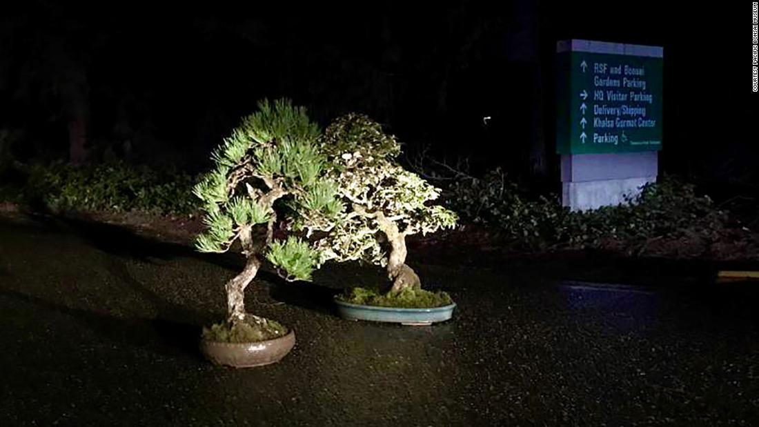 盗まれた盆栽２鉢、無事に戻る 米博物館 - CNN.co.jp