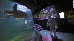 水族館でも消毒作業が行われた＝１４日、インドネシア・ジャカルタ