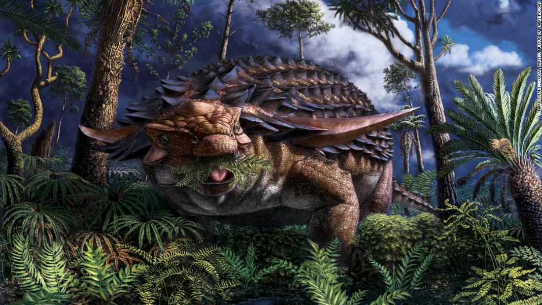 Cnn Co Jp １億年前の恐竜が食べた 最後のえさ 珍しい胃の内容物の化石から判明 カナダ