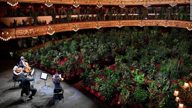 スペインのリセウ大劇場が再開し、たくさんの植物を「観客」に記念公演が行われた/LLUIS GENE/AFP/Getty Images