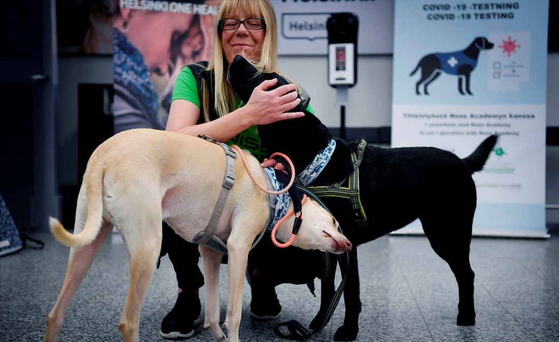 Cnn Co Jp コロナ感染かぎ分ける犬の出動開始 ヘルシンキ空港