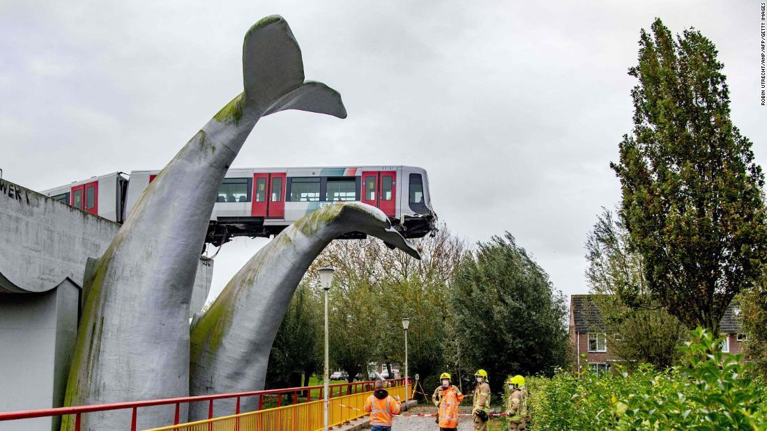 고래의 꼬리를 탄 차량은 높이 약 10미터의 지점에 있다/Robin Utrecht/ANP/AFP/Getty Images