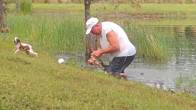 米フロリダ州で、ワニに襲われた子犬を飼い主が救い出す出来事があった/WINK/Florida Wildlife Federation/fStop Foundation