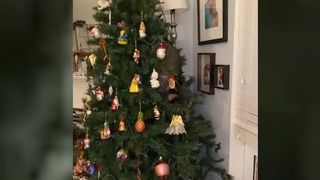 クリスマスツリーに隠れていたのはネコではなく・・・