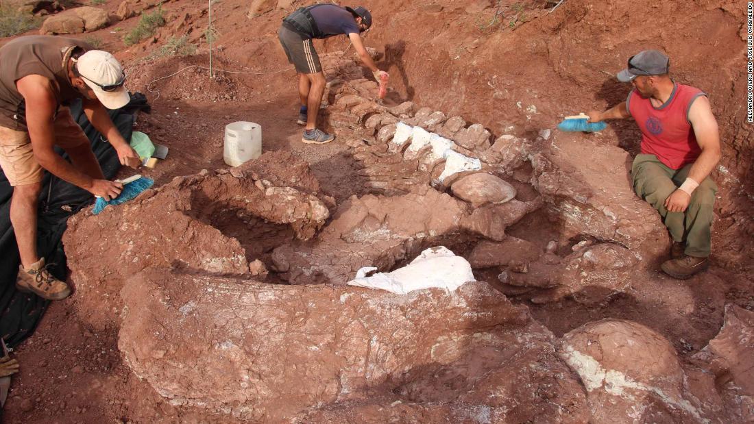 Cnn Co Jp 巨大恐竜の化石発掘 最大級の陸上生物と推定 アルゼンチン
