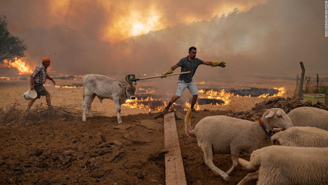 Cnn Co Jp ギリシャで４７度超 欧州南部で続く記録的猛暑 山火事多発で大気汚染も悪化 1 3