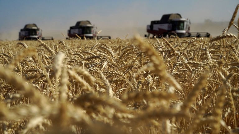 ロシア南部ロストフ州での小麦の収穫風景/AFP/Getty Images