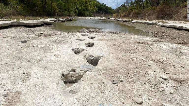 川の底から約１億１３００万年前の恐竜の足跡が発見された/Dinosaur Valley State Park