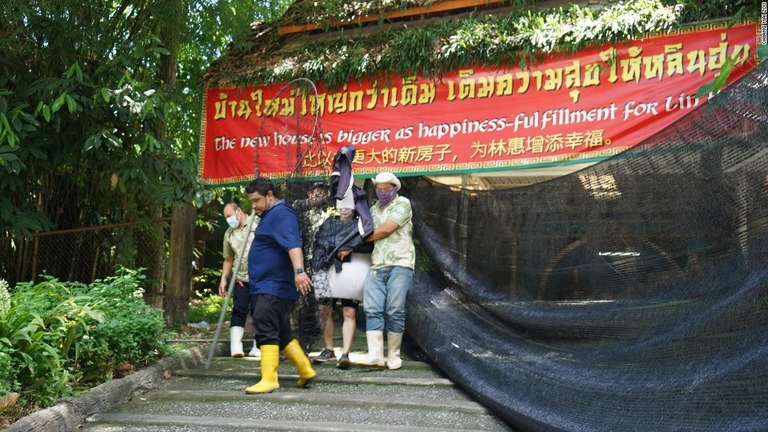 ダチョウ役の男性を無事捕獲した時の様子/Chiang Mai Zoo