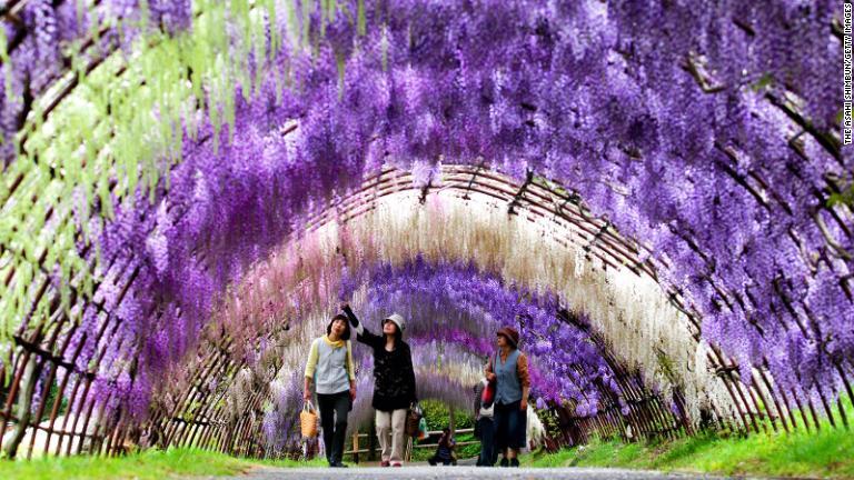 日本の旅行先では、東京を抑えて福岡が選ばれている/The Asahi Shimbun/Getty Images