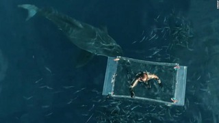 ダイバーに迫る凶暴なホホジロザメの映像が今年注目を集めた６本の動画に選ばれた