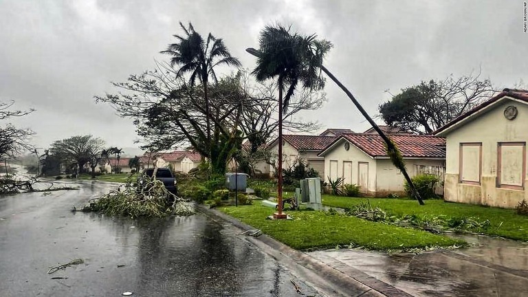 台風「マーワー」の影響で倒れた木＝２５日、米領グアム・ジョーニャ/Adam Brown/AP