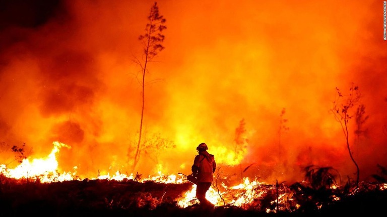 欧州では昨年、干ばつと猛暑の影響で激しい森林火災が相次いだ/Sarah Meyssonnier/Reuters
