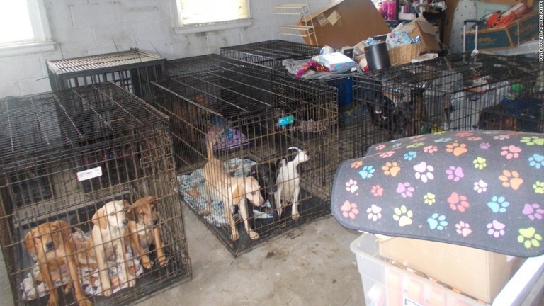 ９０匹余りの犬や子犬が救出された/Butler County Sheriff's Office