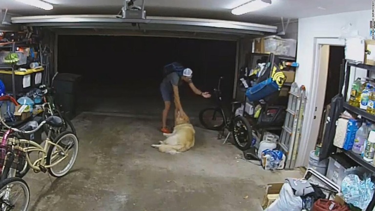 自転車泥棒に入った家の飼い犬としばし戯れる男の動画を警察が公開した/San Diego Police Department