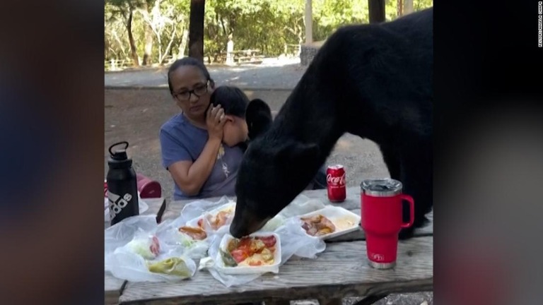 ピクニック中に突然、クマが現れた＝メキシコ/Reuters/Angela Chapa