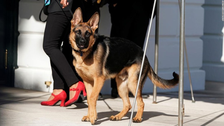 バイデン米大統領の愛犬「コマンダー」＝３月、米ワシントンＤＣのホワイトハウス/Joshua Roberts/Reuters