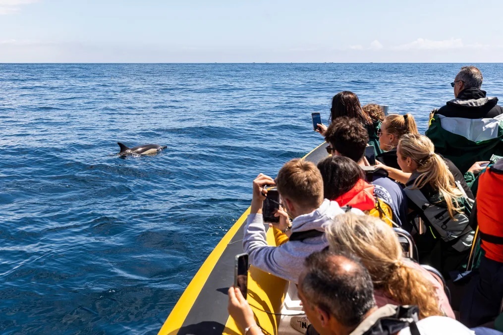 ホエールウォッチングは適正に行わなければ、クジラと地元の地域共同体の両方に悪影響を及ぼす恐れがある/Francisco Garcia/Courtesy Terra Azul