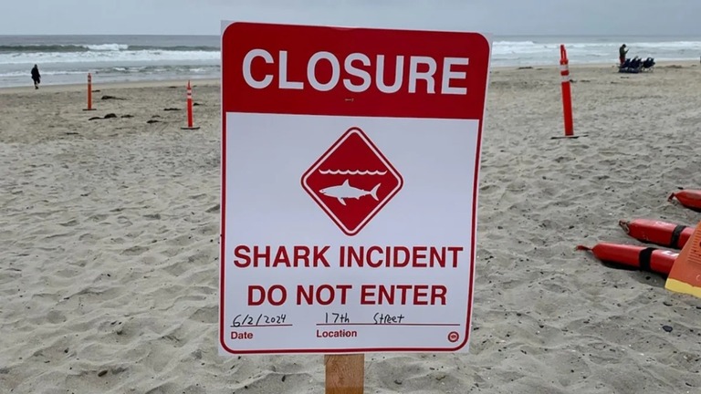 ２日のサメの襲撃により、海岸への立ち入り禁止を示す看板/City of Del Mar Lifeguards