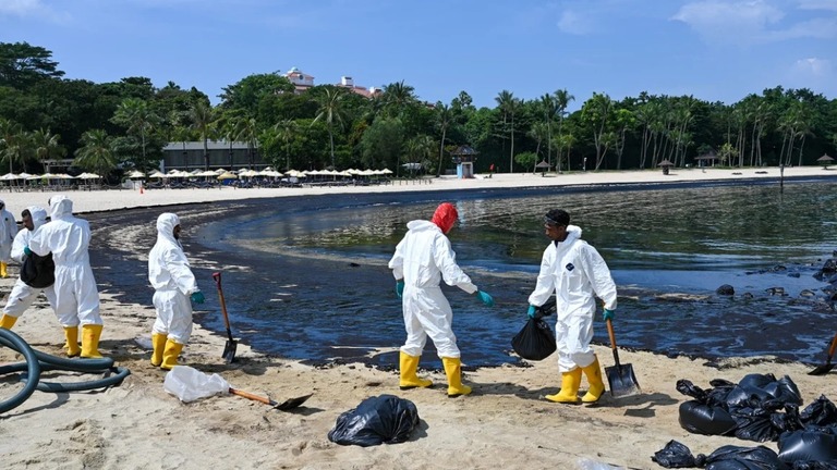 セントーサ島西側のビーチでは作業員らが油の除去作業にあたっている＝１６日/Roslan Rahman/AFP/Getty Images