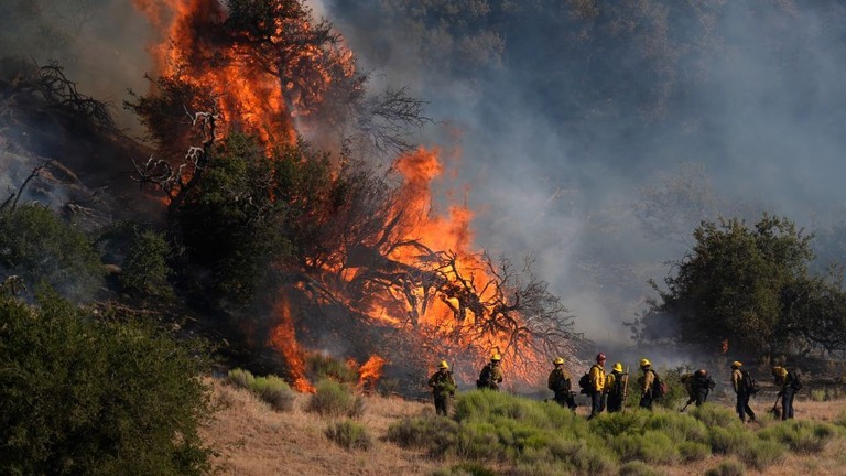 １５日、米カリフォルニア州で発生した山火事に対応する消防士ら/Marcio Jose Sanchez/AP