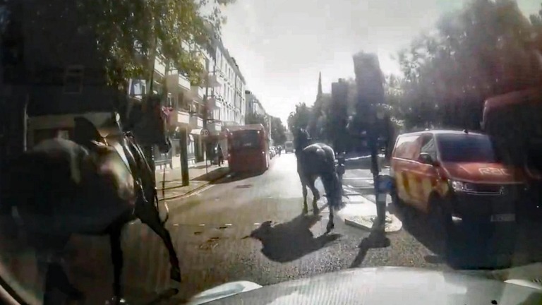 ロンドン市内を暴走する軍馬を捉えたタクシー運転手撮影の動画の静止画像/@Davenoisome/PA