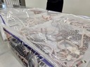 ズボンに生きたヘビ１００匹以上　中国の入境検査場で見つかる